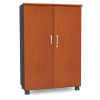 Tủ tài liệu SM7230FH