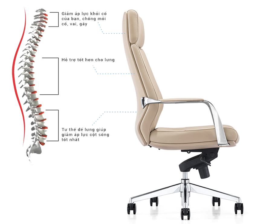 Thiết kế chuẩn công thái học của ghế 6710A