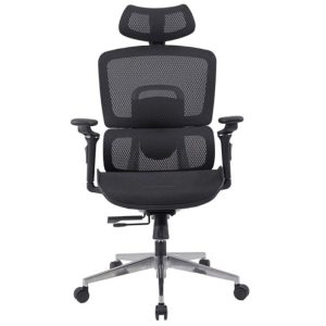 Mẫu ghế công thái học GLE12-2-2