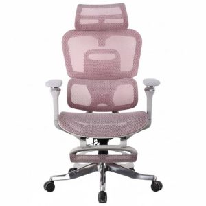 Ghế công thái học A561-2-1