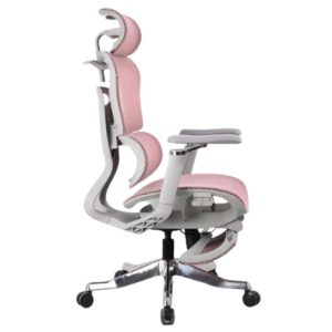 Ghế công thái học A561.1-3