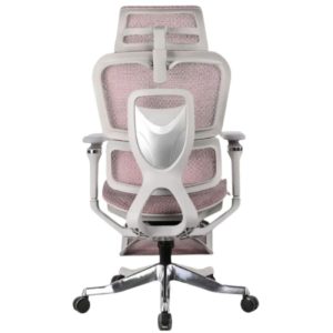 Ghế công thái học A561.1-5