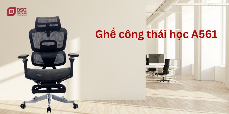 Ghế A561 với thiết kế hoàn hảo cho những ai mắc bệnh thoát vị đĩa đệm