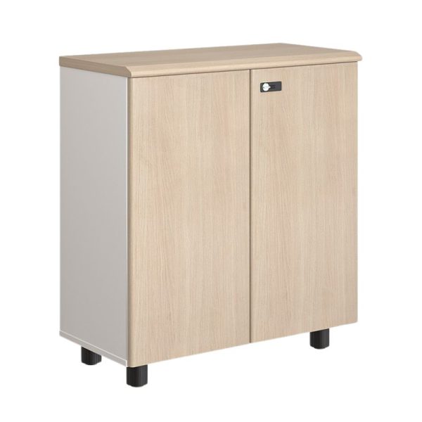 Tủ Tài Liệu NTV880SD-1