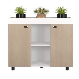 Tủ tài liệu NTV1000-3T2-1
