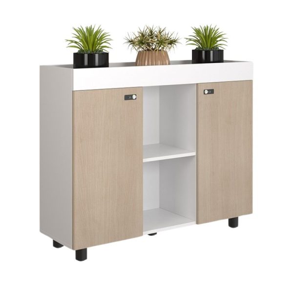 Tủ tài liệu NTV1000-3T2-2