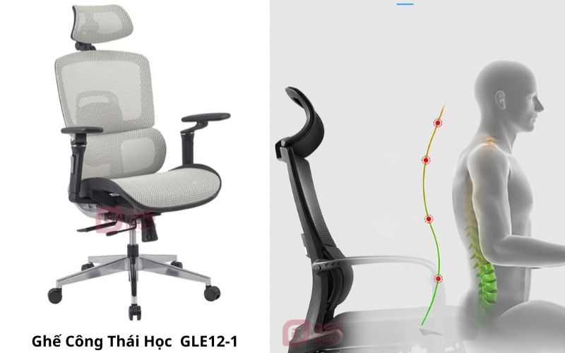Điều chỉnh độ cong chữ S và hỗ trợ thắt lưng