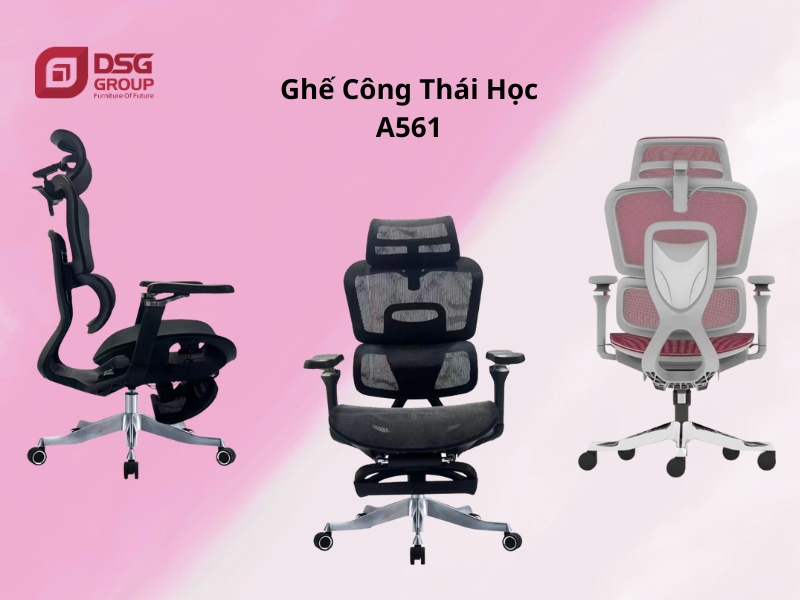 Mẫu Ghế công thái học A561