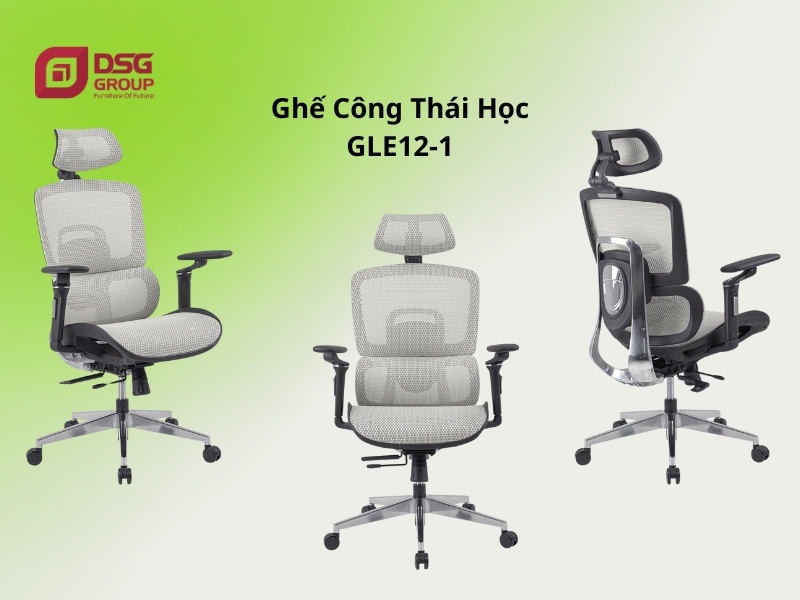 Mẫu Ghế công thái học GLE12-1