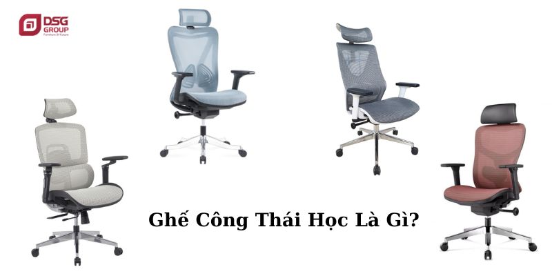 Ghế công thái học là gì