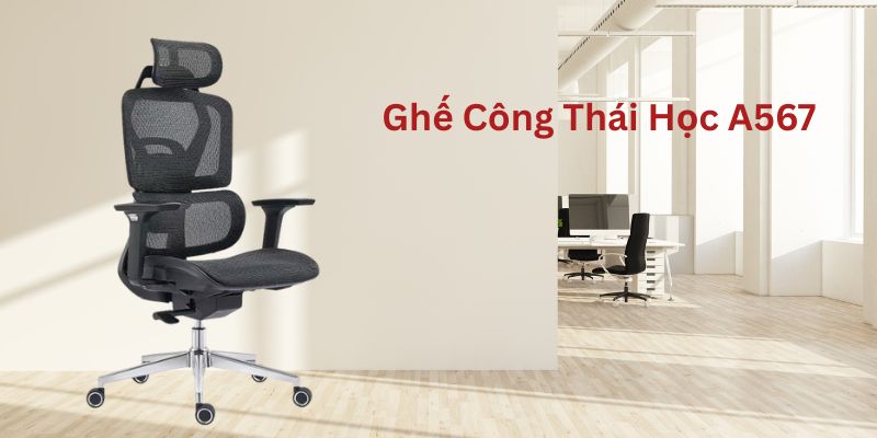 Mẫu ghế công thái học A567 chất lượng