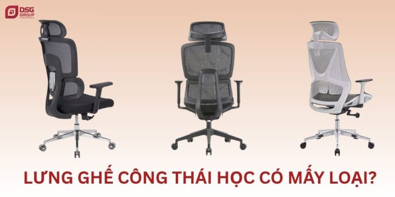 Lưng ghế công thái học có mấy loại?