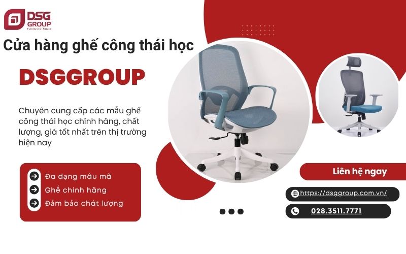 DSGGROUP - Địa chỉ mua ghế công thái học chính hãng tạo TPHCM