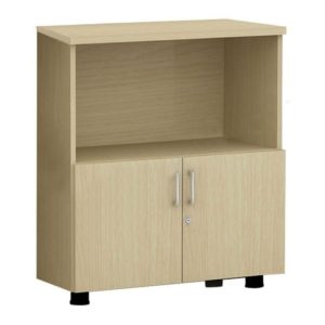 Mẫu tủ 2 ngăn đựng tài liệu AT880SD