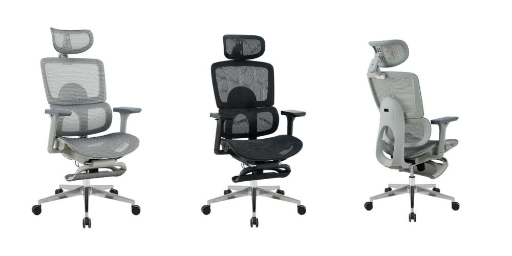 Ghế công thái học GLE21 sở hữu kích thước tiêu chuẩn phù hợp với mọi văn phòng