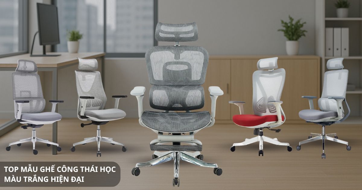 Top mẫu ghế công thái học màu trắng hiện đại