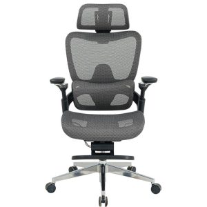 Ghế công thái học GLE24