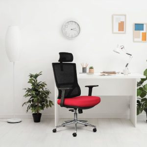 Ghế công thái học M1081-01