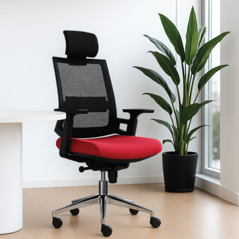 Ghế công thái học M1085-01