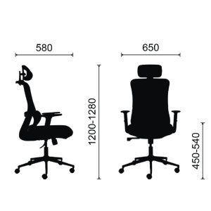 Ghế công thái học M1104-01-5