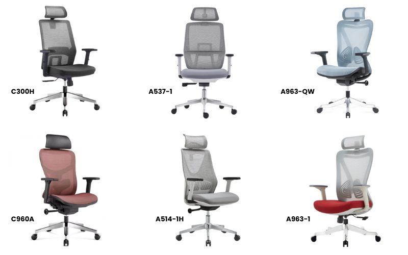 Mẫu ghế công thái nội thất dsggroup