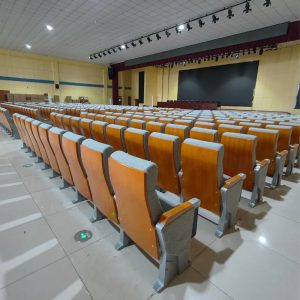 Ghế hội trường WZ-282-8