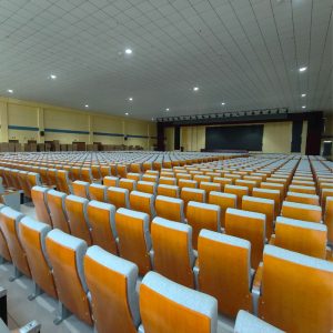 Ghế hội trường WZ-282-9