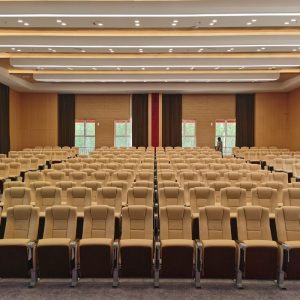 Ghế hội trường WZ-303-6