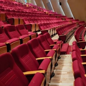 Ghế hội trường WZ-610-5