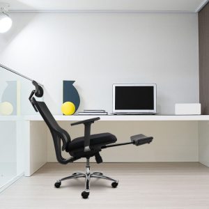 Ghế công thái học M1081-F