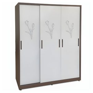 Tủ quần áo TU19B3C3-2