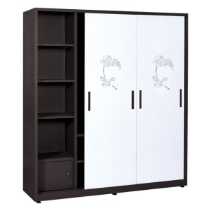 Tủ quần áo TU19B3C3