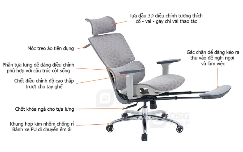 Cấu trúc ghế công thái học