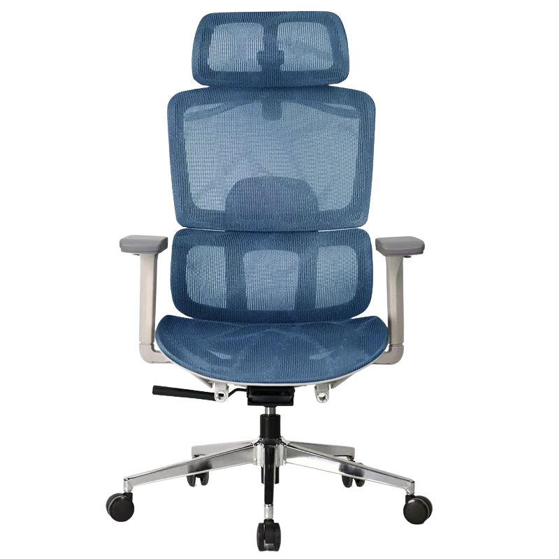 Ghế công thái học A548