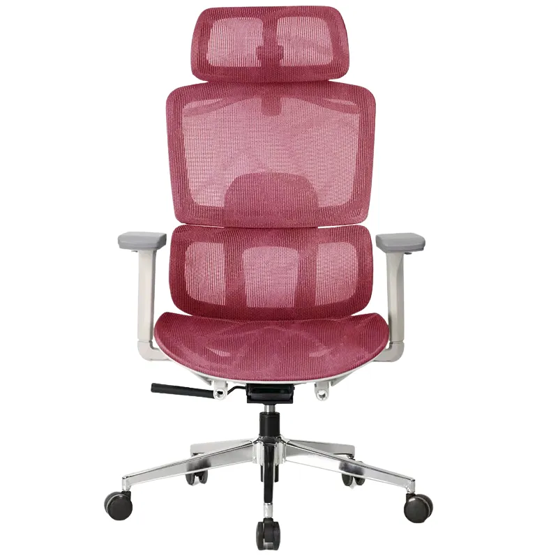 Ghế công thái học A548-3 main