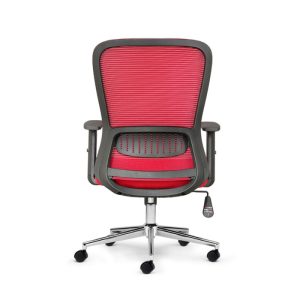 Mặt sau của M1101 D - 01