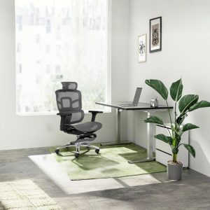 Ghế công thái học M1105F 2