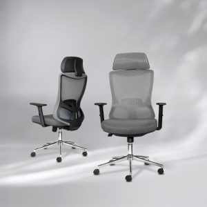 Ghê công thái học M1106D-01-2