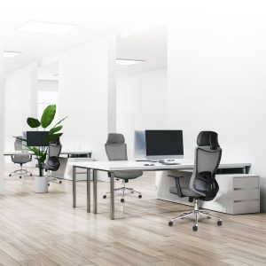 Ghê công thái học M1106D-01