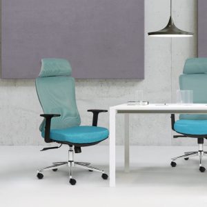 Ghế công thái học M1106T-01-2