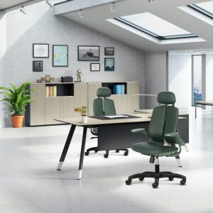 Ghế công thái học M1109-02-2-1