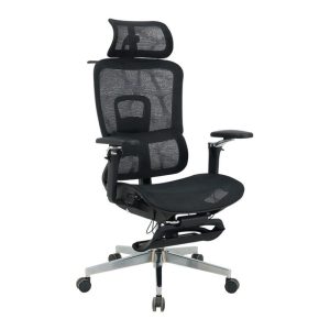 Ghế công thái học GLE25