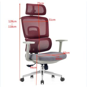 Ghế công thái học ERD886-2