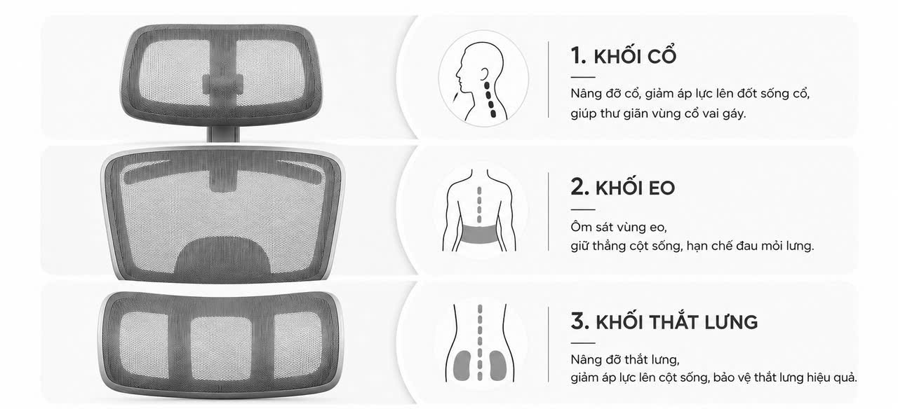 các bộ phân ghế công thái học A548