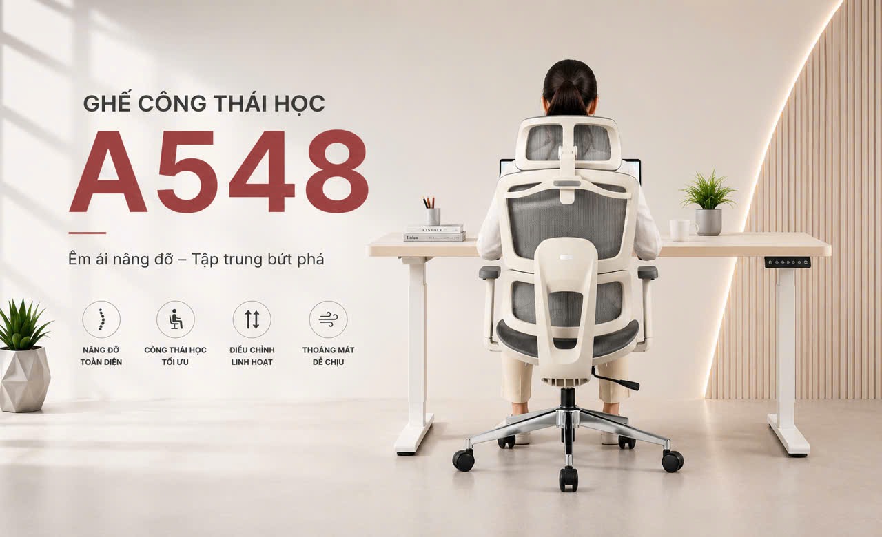 Ghế công thái học A548 êm ái nâng đỡ