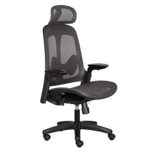 Ghế công thái học POP D-01 mặt nghiên