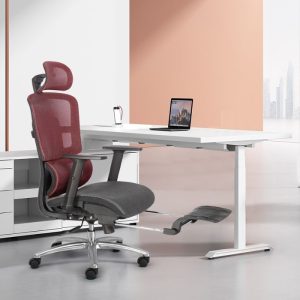 Mẫu ghế công thái học Ergoma F