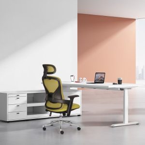 Mẫu Ghế công thái học ROCK D-02 tối giản