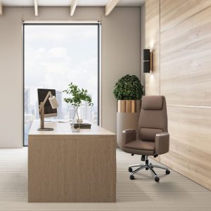 Boss II - Điểm nhấn hoàn hảo cho văn phòng lãnh đạo-3