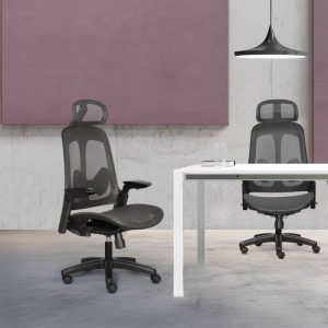 Mẫu Ghế công thái học POP D-01
